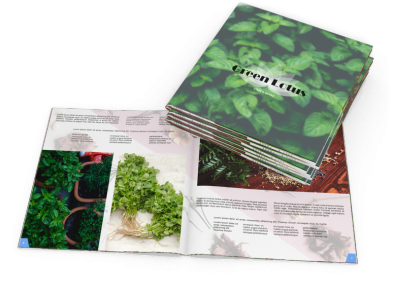 Catálogo Couchê 90g 